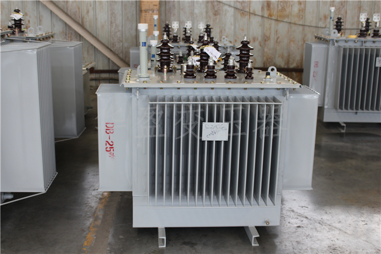 阳泉S20-800kVA/10kV/0.4kV变压器